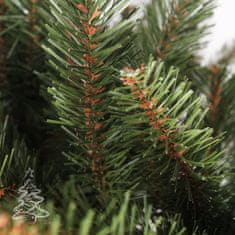 Božično drevo Kavkaska smreka 2D 220 cm
