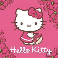 Detexpol Čarobna brisača Hello Kitty 30/30
