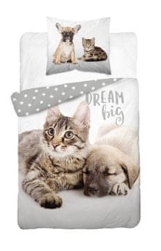 Detexpol Vključeno platno Dream Team Cotton, 140/200, 70/80 cm