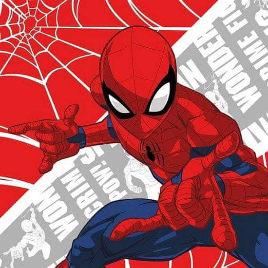 Faro Čarobna brisača Spiderman 30/30