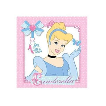 Detexpol Čarobna brisača Princesa Pepelka 30/30