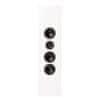 DLS Flatbox XXL (Par), Bel