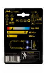 MICHELIN H4 12V60/55W P43T LONG LIFE Enotno pakiranje