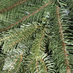Božično drevo Alaska smreka 3D 150 cm