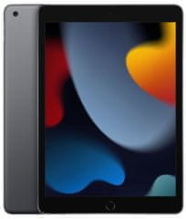 iPad 2021 tablica, 25,9 cm (10,2), Wi-Fi, 64 GB, Space Gray (MK2K3HC/A)