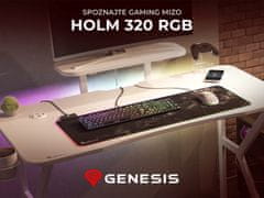 Genesis Holm 320 RGB gaming miza