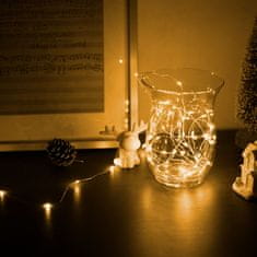 Family Christmas 50 micro LED lučk 5m z USB napajanjem in 8 funkcijami toplo bele