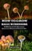 How to Grow Magic Mushrooms: A 100% Guide for Beginners. Benefits of Mushroom Grower's kit