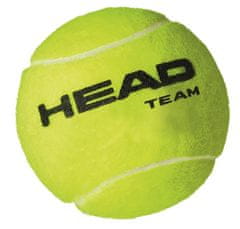 Head Team žogice za tenis, 4 kosi