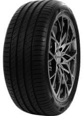 Delinte 205/60R16 92V DELINTE DS2