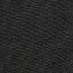Greatstore Zatemnitvena zavesa z obešali videz platna antracitna 290x245cm