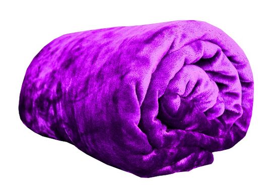 Zaparevrov Aaryans Mikroflanelna odeja, 200 x 220 cm, vijolična