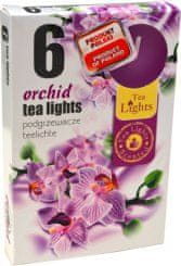 Admit Čajne lučke, Orhideja, 6 kosov