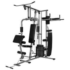 Vidaxl Večnamenska fitnes naprava 65 kg