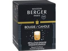 Maison Berger Paris Dišeča sveča Olymp copper Intense glitter Exquisite Sparkle (Candle) 180 g