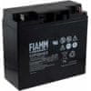 Akumulator 12FGH65 (povečana zmogljivost)- FIAMM original
