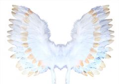 Zaparevrov Angelska krila s perjem, belo-zlata