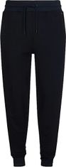 Tommy Hilfiger Moške športne hlače UM0UM01918-DW5 (Velikost L)
