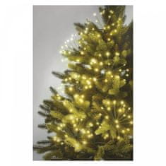 Emos LED svetlobna veriga, svetleče cvetlice, nano, 8 m, notranja, topla bela, časovnik