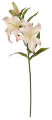 Shishi Roza lilija 98cm