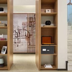 Rottner Fifty BT Safe 1 pohištveni trezor z Bluetooth ključavnico