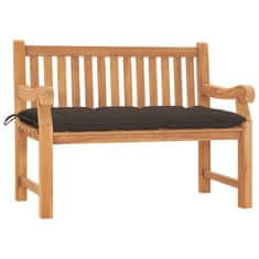 Vidaxl Vrtna klop z blazino 120 cm trdna tikovina