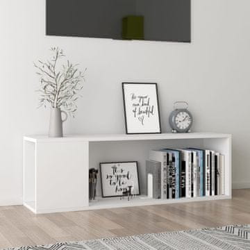 Vidaxl vidaXL TV omarica bela 100x24x32 cm material na osnovi lesa