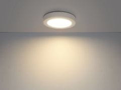 Globo LED stropna svetilka Globo PAULA 41605-18