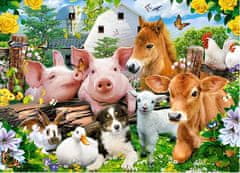 Castorland Puzzle Prijatelji na kmetiji 60 kosov