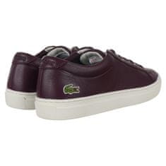 Lacoste Čevlji rjava 37 EU L 12