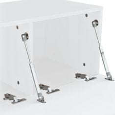 Vidaxl TV omarica iverna plošča 120x40x34 cm visok sijaj bela