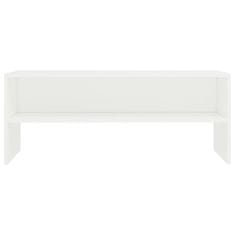 Vidaxl TV omarica bela 100x40x40 cm iverna plošča