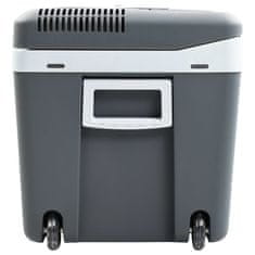 Vidaxl Prenosna termoelektrična hladilna torba 40 L 12 V 230 V A++