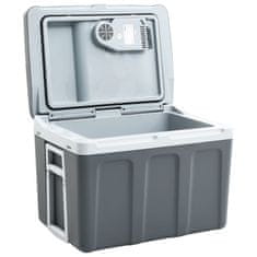 Vidaxl Prenosna termoelektrična hladilna torba 40 L 12 V 230 V A++
