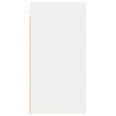 Vidaxl TV omarica bela 30,5x30x60 cm iverna plošča
