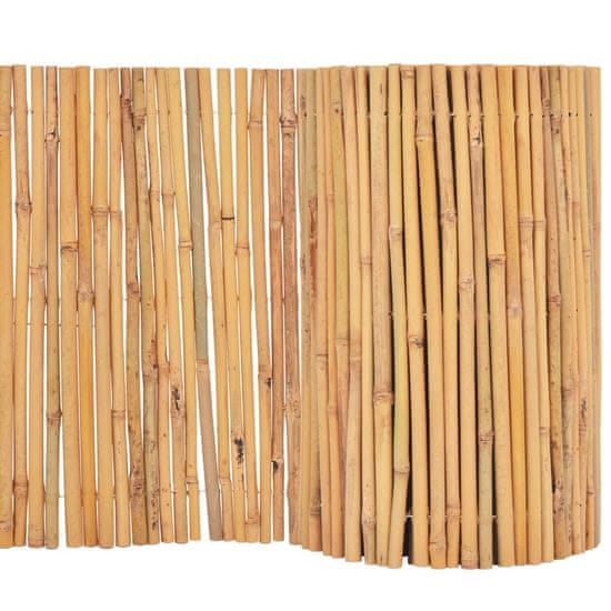 Vidaxl Ograja iz bambusa 500x50 cm