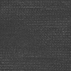 Vidaxl Preproga za šotor 200x200 cm antracitna