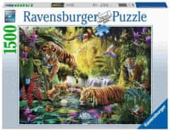 Ravensburger Tigri ob vodi sestavljanka, 1500 delov