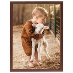 Vidaxl Foto okvirji 10 kosov namizni rjavi 20x25 cm MDF