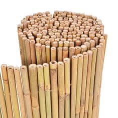Vidaxl Ograja iz bambusa 300x100 cm