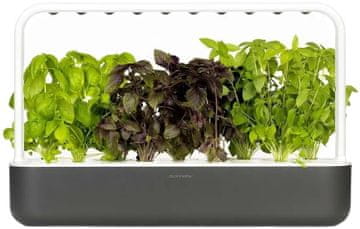 Click and Grow pametni cvetlični lonček Smart Garden 9, temno siv