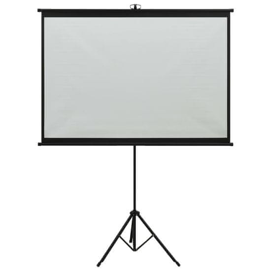 Vidaxl Projekcijsko platno s trinožnim stojalom 47" 1:1