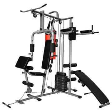Vidaxl Večnamenska fitnes naprava z 1 boksarsko vrečo 65 kg