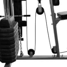 Vidaxl Večnamenska fitnes naprava 65 kg