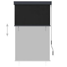 Vidaxl Zunanje rolo senčilo 100x250 cm antracitno