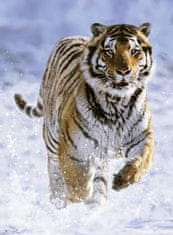 Ravensburger sestavljanka tiger na snegu, 500 delov (814475)
