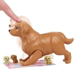 Mattel Barbie Newborn Pups igralni komplet s pasjimi mladiči