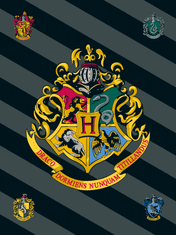 Jerry Fabrics Odeja iz flisa Harry Potter HP067