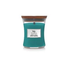 Woodwick Vaza za dišeče sveče srednja Brin & Spruce 275 g