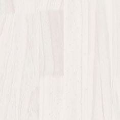Greatstore Regal bel 60x30x105 cm trdna borovina